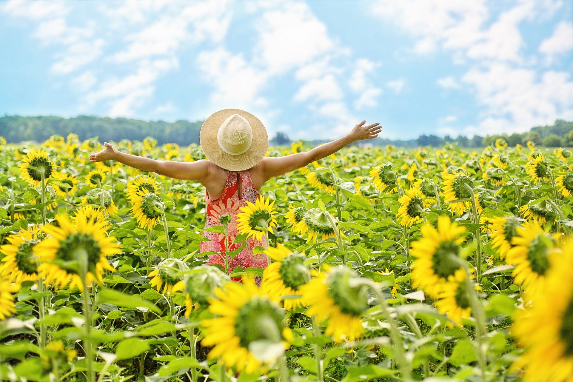 Frau Sonnenblumen Frau mit Strohhut läuft durch ein Sonnenblumenfeld