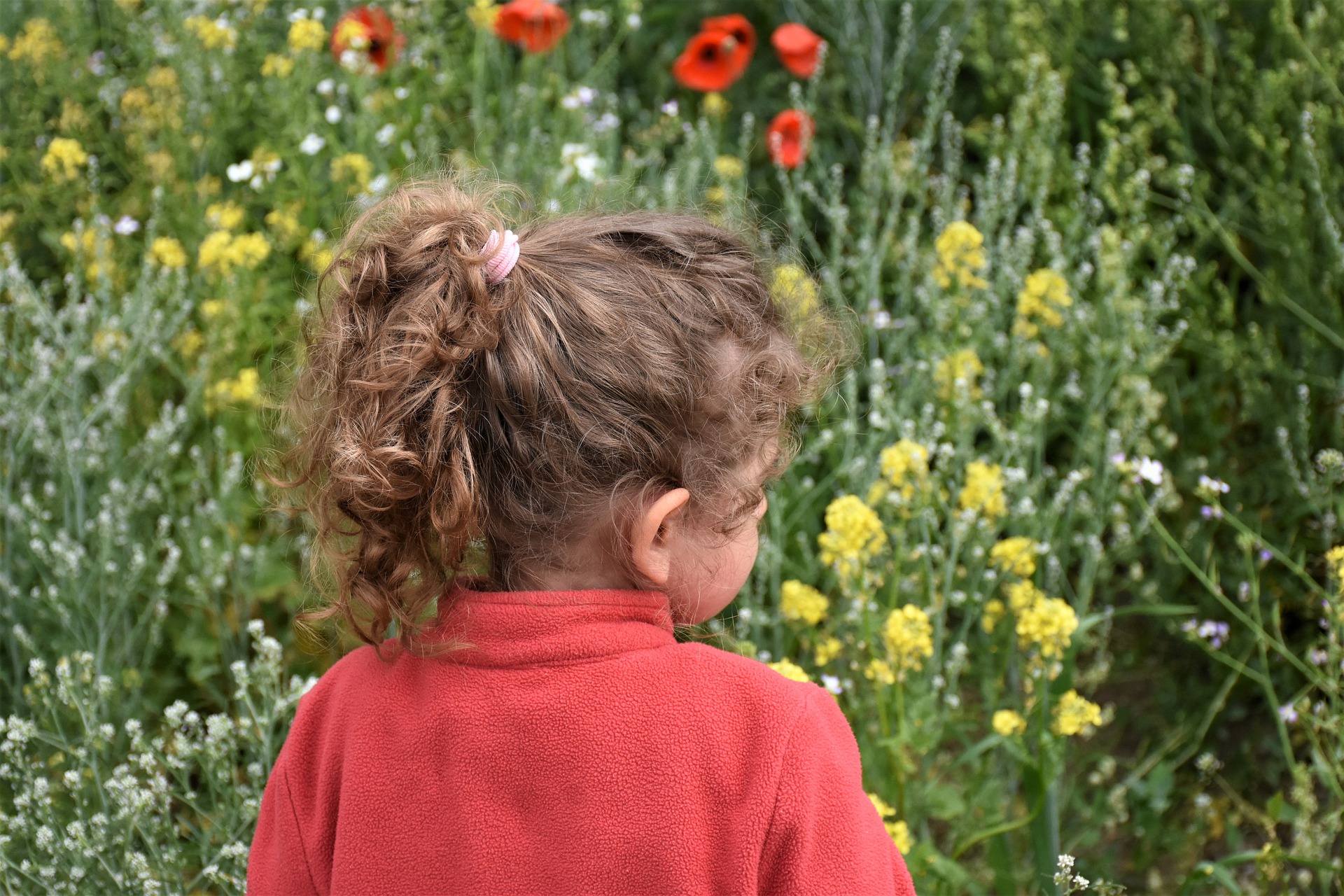 Foto: Kinderoberkörper vor Blumenwiese