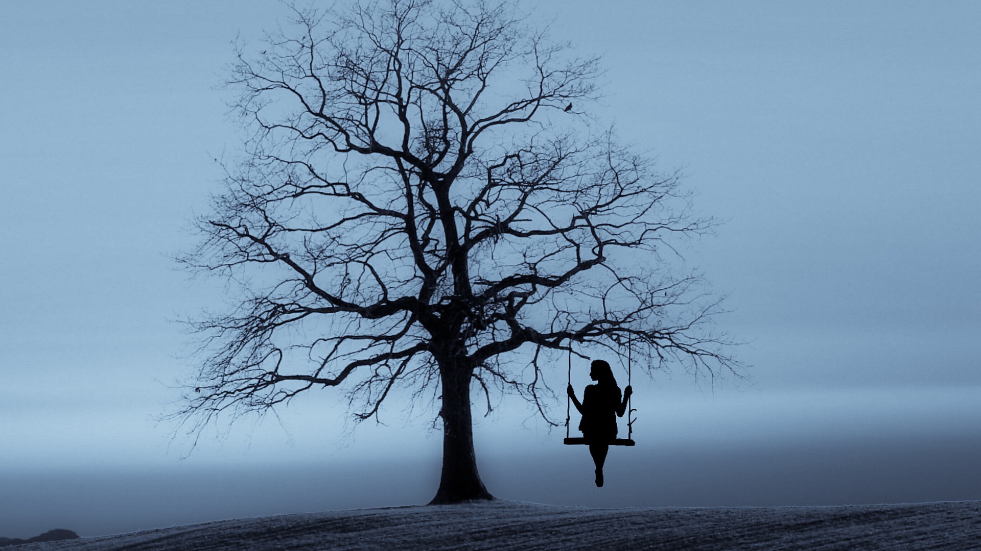 Foto: Baum mit Schaukel, auf der eine Frau Sitzt